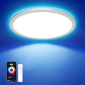 hepside Lámpara LED de techo inteligente, 24W, RGB dimmable, compatible con Alexa y control por APP. Incluye mando a distancia. Ideal para dormitorio, sala, etc