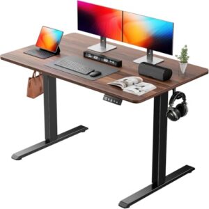 Raplink Escritorio Elevable Eléctrico, Mesa de Trabajo Ajustable en Altura, Mesa de Oficina en Casa con Tablero Ensamblado, 120 x 60 cm, para Trabajo, Redacción, Juegos